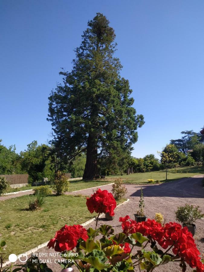 Le Manoir Sequoia Hotel Airvault Kültér fotó